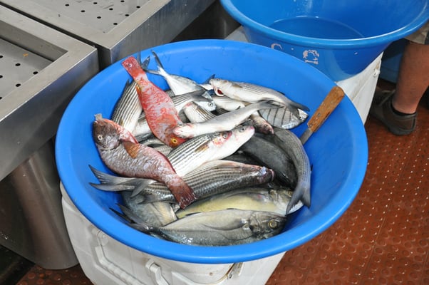 Kap Verden, Insel Santiago, Assomada, Markt