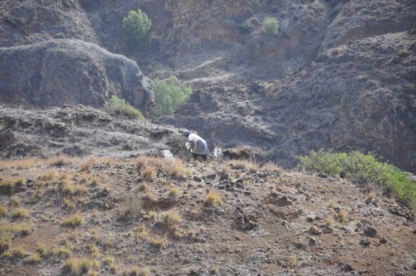 Kap Verden, Insel Santo Antao, Ponta do Sol