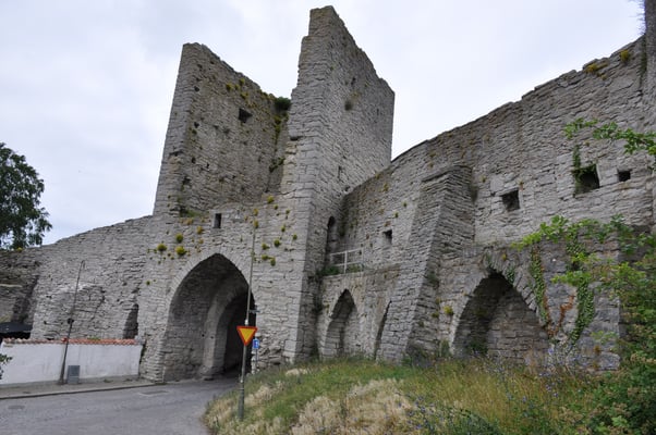Schweden, Gotland, Visby mit Kathedrale und Stadtmauer