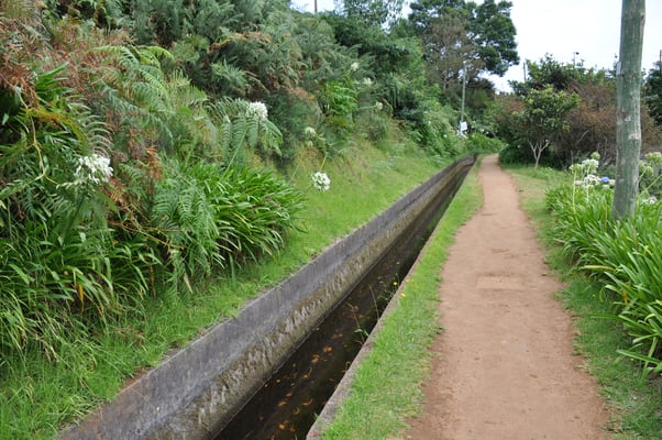 Madeira, Wanderung Levada da Reibeira da Janela