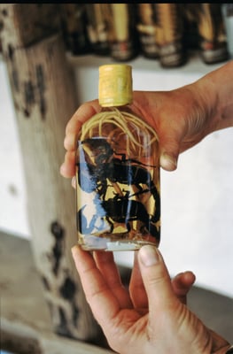 Thailand, Auf dem Mekong