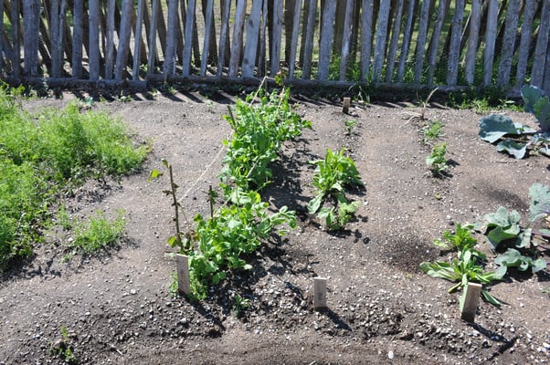 Schweden, Gotland, Bunge Skol Museum