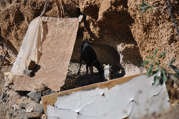 Kap Verden, Insel Santo Antao