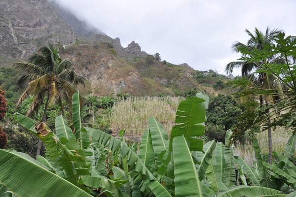 Kap Verden, Insel Santo Antao, Bergdorf Fontainhas