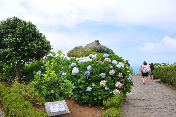 Madeira, Santana, Dreieckhäuser aus Colmo