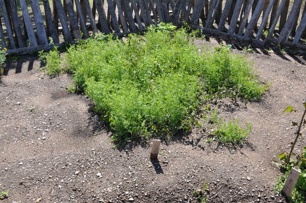 Schweden, Gotland, Bunge Skol Museum