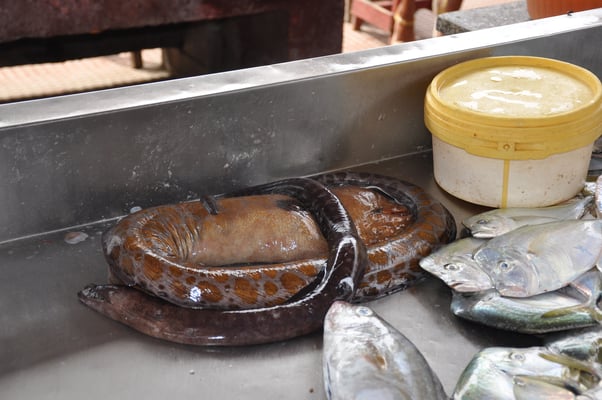 Kap Verden, Insel Sao Vicente, Stadt Mindelo