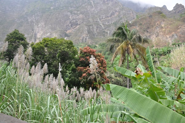 Kap Verden, Insel Santo Antao, Bergdorf Fontainhas