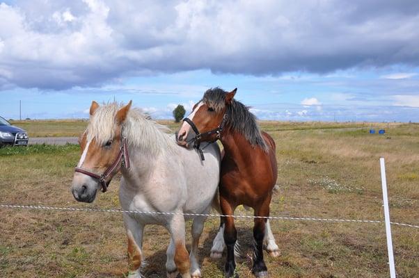 Schweden, Öland, St. Brigittas Kapelle