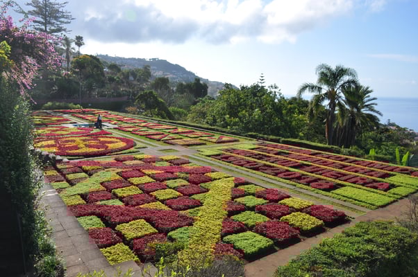 Madeira, Funchal, Botanischer Garten