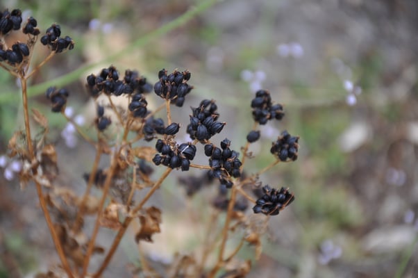 England, Auf dem Weg nach Irland: Station am Kreide Felsen von Dover