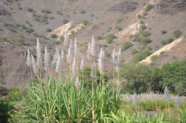 Kap Verden, Insel Santo Antao