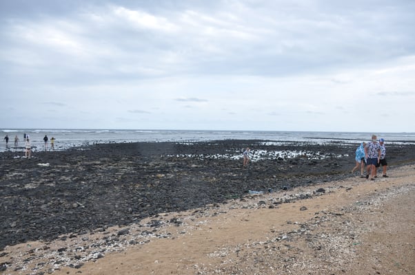 Kap Verden, Insel Sal, Haifischbucht