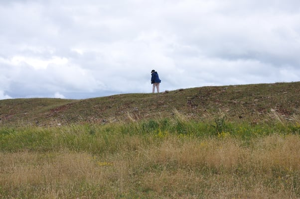 Schweden, Öland, Fliehbug, Barby Borg