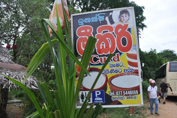 Sri Lanka, Verkauf von Joghurt aus Wasserbüffelmilch
