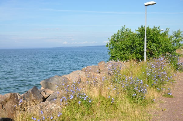 Schweden, Gränna, Campingplatz