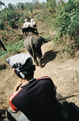 Thailand, Elefantencamp