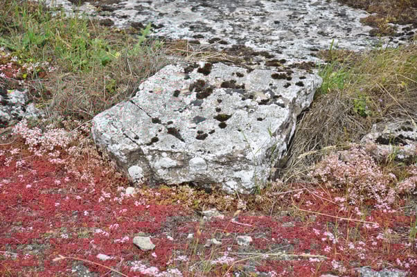 Schweden, Öland, Eketorps Borg, Wikinger Museum