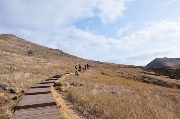 Madeira, Wanderung Vereda da Ponta de Sao Lourenco