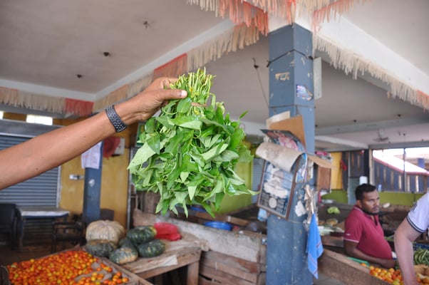 Sri Lanka, Hambantota