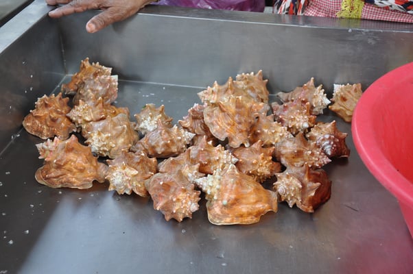 Kap Verden, Insel Sao Vicente, Stadt Mindelo