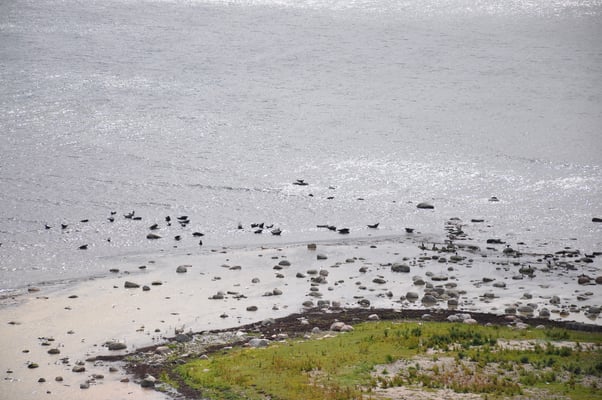 Schweden, Öland, Blick vom Leuchtturm, Lange Jan