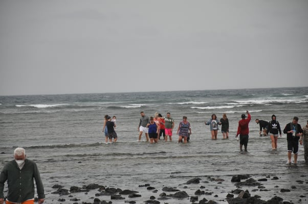 Kap Verden, Insel Sal, Haifischbucht