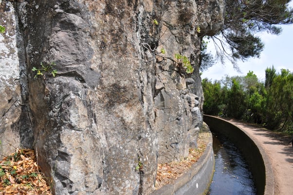 Madeira, Wanderung Levada da Reibeira da Janela