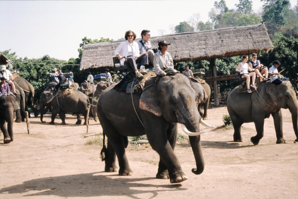 Thailand, Elefantencamp