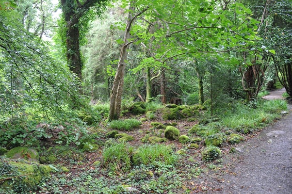 Irland, Muckross House mit Garten