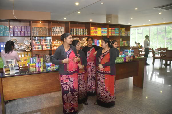 Sri Lanka, Besuch der Teefabrik Damro Tea