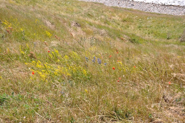 Schweden, Ales Stenar