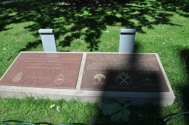 Polen: Krakau: Universität