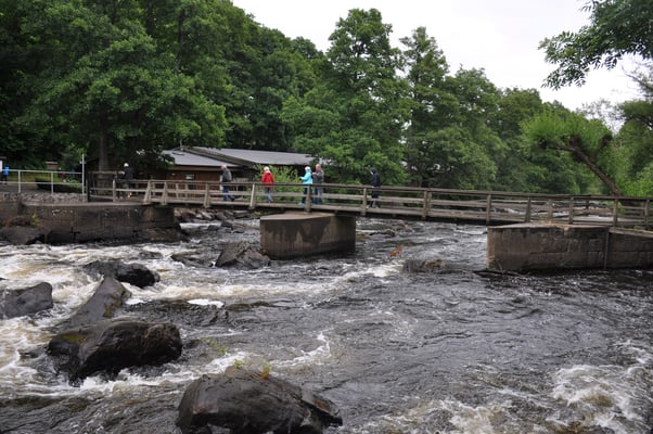 Schweden, Mörrums, bester Lachsfluss von Schweden