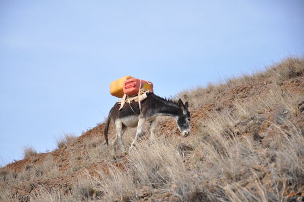 Kap Verden, Insel Santo Antao, Ponta do Sol