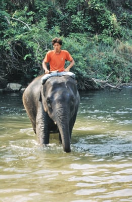 Thailand, Elefantencamp