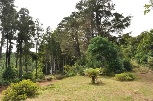 Madeira, Wanderung Levada do Furado