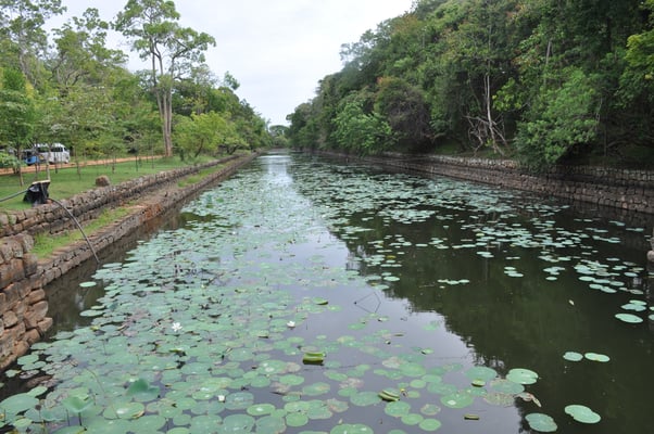 Sri Lanka, Sigirya, Rieselfels Sigirya (Löwenfels)
