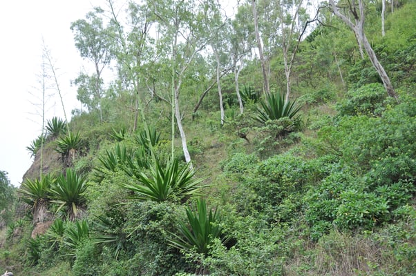 Kap Verden, Insel Santiago, Nationalpark "Serra Malagueta"