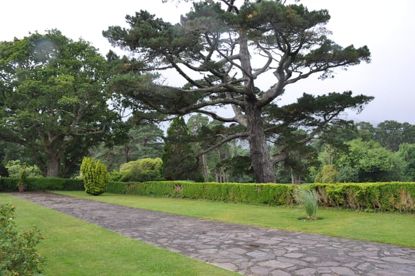 Irland, Muckross House mit Garten