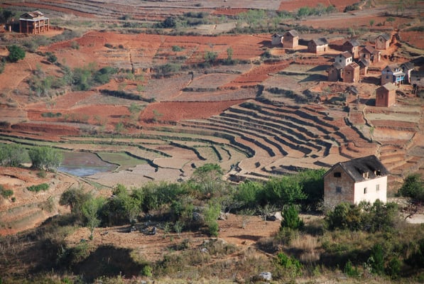 Madagaskar, Landleben, Terrassenfelder