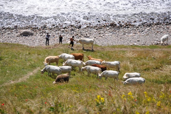 Schweden, Ales Stenar