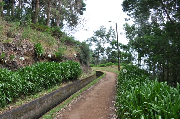 Madeira, Wanderung Levada da Reibeira da Janela