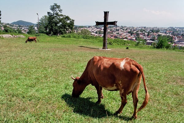Georgien, Klosterruine Bagrati (vor dem Wiederaufbau 2012)