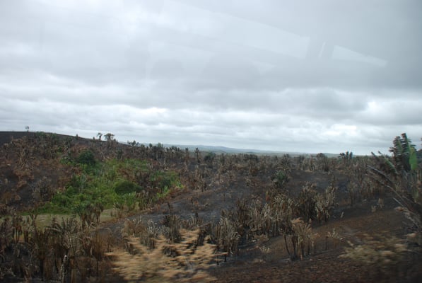 Madagaskar, massive Umweltschäden durch Holzkohlegewinnung