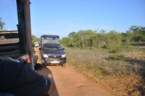 Sri Lanka, Yala Nationalpark