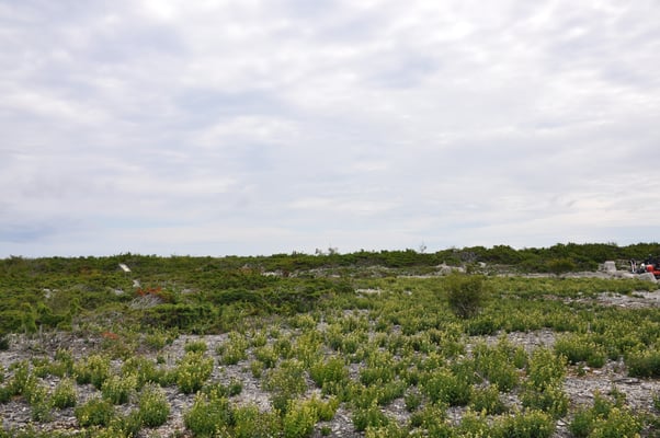 Schweden, Insel Farö, Rauk Gebiete