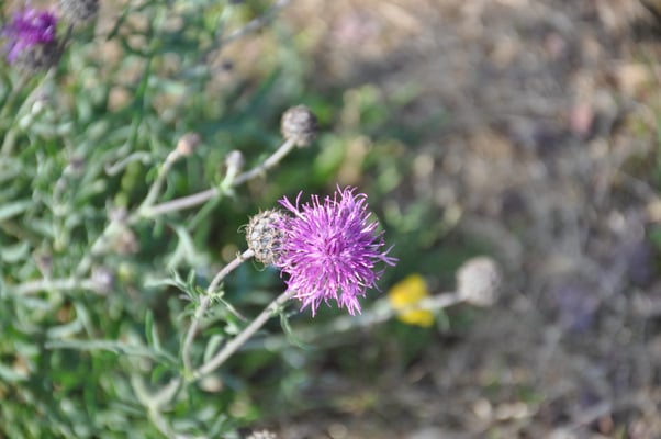 Schweden, Gränna, Campingplatz