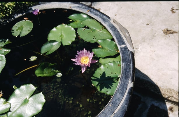 Thailand, Uttaradith