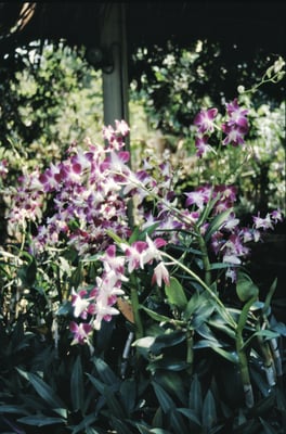 Thailand, Nakhon Sawan